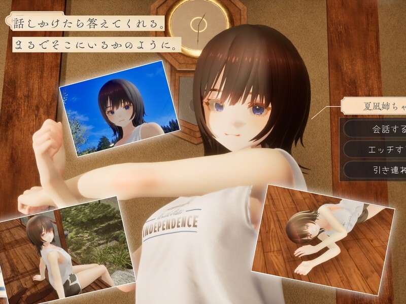 图片[2]-【3D互动/生肉/全动态/姐姐/恋爱/PC】夏穗 ~ 我陷入恋爱的30天 ~ なつねぇ～僕が恋した30日～ DEMO生肉版【2.18G/CV】-年糕数码